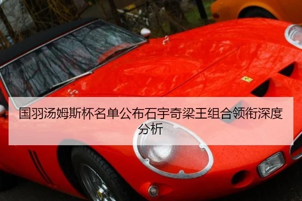 国羽汤姆斯杯名单公布石宇奇梁王组合领衔深度分析